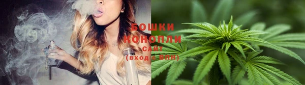 мяу мяу мука Волоколамск