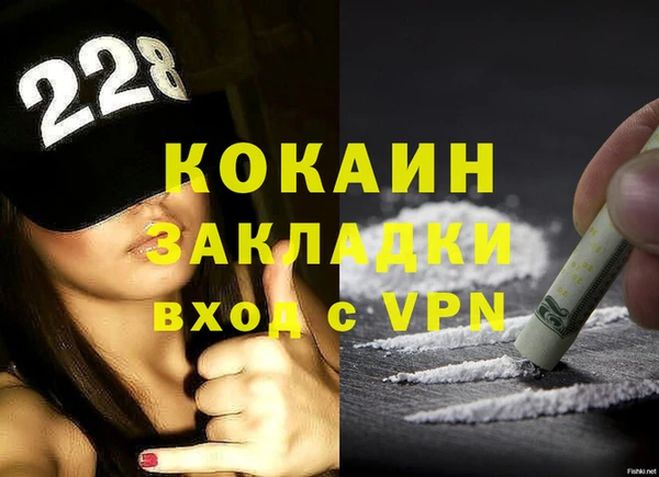 дмт Горняк