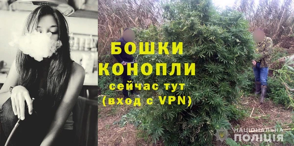 дмт Горняк