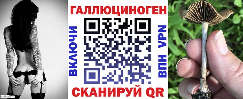 Галлюциногенные грибы мицелий  Давлеканово 